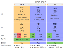 11 27 2018 Natal Birth Chart Brief Reading Fengshui Bazi