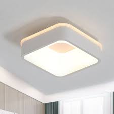 Ceiling Mounted Light
