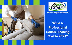 professional couch cleaning cost