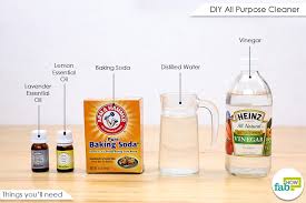 homemade all purpose cleaner for all