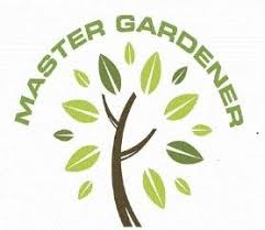 master gardeners extension washington