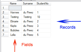 alter table in visual basic