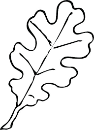 Printable Leaf Patterns Template Maple Leaves Pattern Large Tree