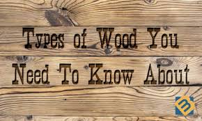 types of wood you need to know about