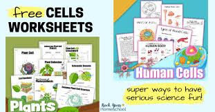 free cells worksheets for super fun