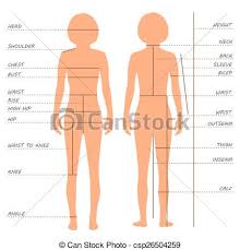 Body Measurements Size Chart