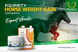 horse weight gain supplements expert s