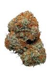 Image result for whats Blackwater Kush