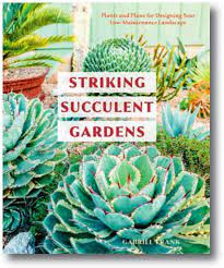 Striking Succulent Gardens Plants And