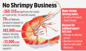 Small Sized Shrimps Finding Big Global Takers May Lead To