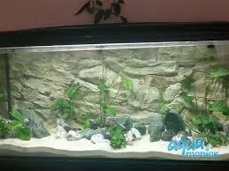 3d Aquarium Background For 6 Foot Tank