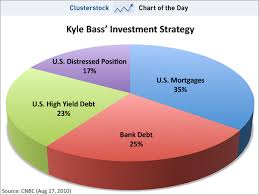 Charts Of The Week Heres The Kyle Bass Portfolio