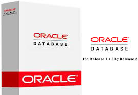 Now, this developer tools app is available for pc windows xp64 / vista64 / windows 7 64 / windows 8 64. Oracle Database 12c 11g Express Edition Download Dreamtechland Oracle Database Oracle Database
