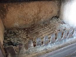 Does A Wood Burning Stove Have A Grate