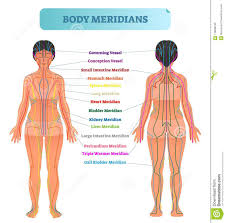 Body Meridian System Vector Illustration Scheme Chinese