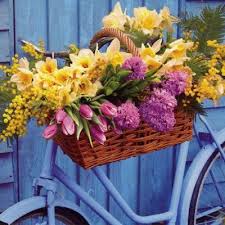 Spring Flowers Bike Planter Pretty