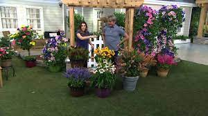 Maybe you would like to learn more about one of these? Cottage Farms Dazzling Designs 5 Pc Butterfly Garden On Qvc Youtube