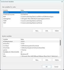 system environment variables in windows