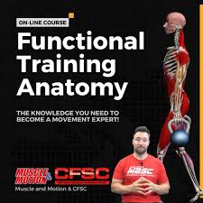 functional training anatomy course