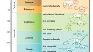Most domesticates have their origin in one of a few historic centers of domestication as farm animals. Life Evolution And The History Of Life On Earth Britannica