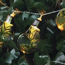 10 Plastic Led Bulb String Lights