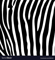 Black And White Zebra Striped Background Vector Image