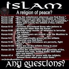 Image result for pics of islam meant to dominate the world