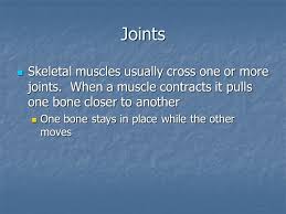 Image result for muscle contracts joints