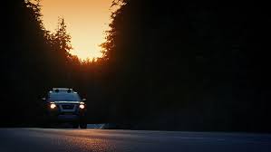 car goes  forest road at evening ile ilgili görsel sonucu