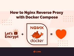 nginx reverse proxy with docker compose
