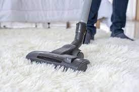 carpet cleaning in mishawaka in and