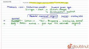 Human evolution began approximately 7 crore years ago. | Class 10 Biology |  Doubtnut - YouTube