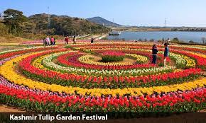 05 days kashmir tulip garden festival