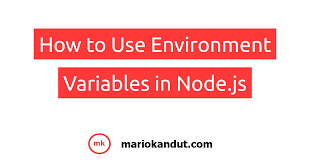 how to use environment variables in node