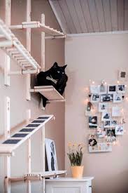 30 modern diy cat playground ideas in