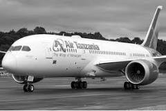 Overview of the Most Important & Best Airlines in Tanzania ...