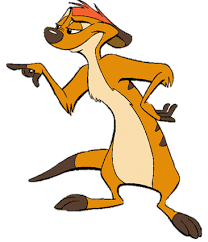 Image result for timon the spy