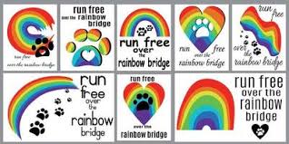rainbow bridge vector art icons and
