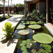 Koi Pond In Front Of House Design Ideas