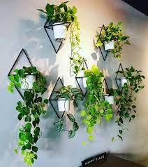 Wall Plants Indoor Plant Decor Indoor