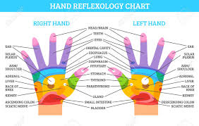 Colorful Right And Left Hand Reflexology Chart With Description