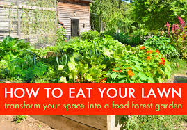 How To Eat Your Lawn Transform Your