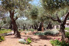what is garden of gethsemane storables