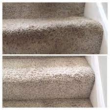 purelements carpet cleaning specialist