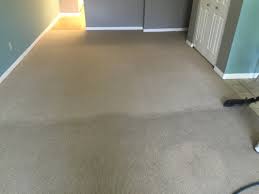 carpet groomers inc home