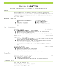 Cv write on profile summary Design Synthesis The Architect s Guide
