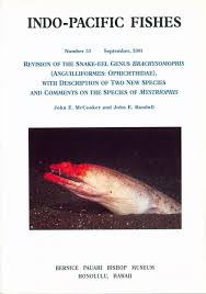 revision of the snake eel genus