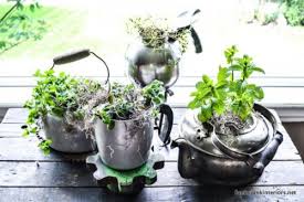 65 Inspiring Diy Herb Gardens Shelterness