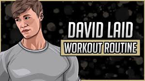 david laid s workout routine t