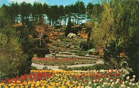 postcard rock garden royal botanical